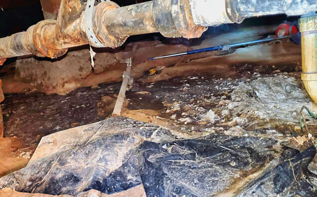 https://plumberwestleederville.com.au/uploads/2025/06/plumbing-73706.jpg